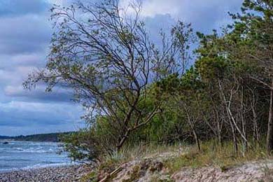 快船大胜独行侠，常规赛巅峰对决中乔治砍下47分，快船vs独行侠视频回放