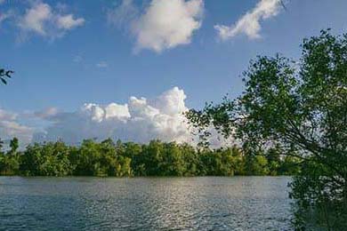 北安普顿中场压制力足，眼镜蛇阵容抢分在即，北安普顿三杰